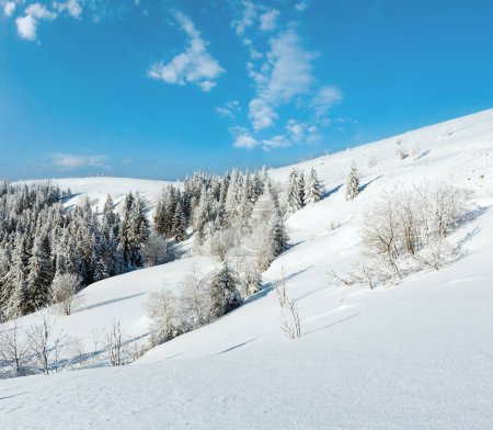 Foto de Invierno tranquilo paisaje de montaña con hermosos árboles de glaseado y ventisqueros en la pendiente (montañas de los Cárpatos, Ucrania
) - Imagen libre de derechos