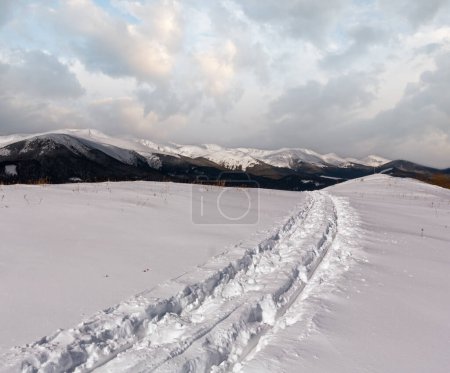 Photo for Sledge trace and footprints on winter mountain hill top and snow covered picturesque alp Chornohora ridge (Ukraine, Carpathian Mountains, tranquility peaceful view from Dzembronya village outskirts). - Royalty Free Image
