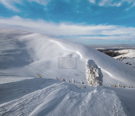 Foto de Los abetos cubiertos de nieve en la meseta montañosa nevada, las cimas con cornisas de nieve en gran medida. Magnífico día soleado en la pintoresca cresta de hermosos alpes. - Imagen libre de derechos