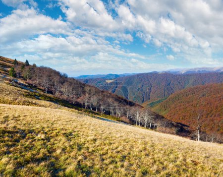Téléchargez les photos : Montagnes d'automne avec des arbres dénudés sur le bord de la forêt en face (Carpates, Ukraine
). - en image libre de droit