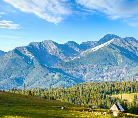 Foto de Verano pueblo de montaña a las afueras con granero y rebaño de ovejas cerca (cordillera de Tatra detrás, Polonia
) - Imagen libre de derechos