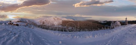 Foto de Vista previa al amanecer del invierno de montaña con árboles cubiertos de nieve y casas en la pendiente (Cárpatos, Ucrania
). - Imagen libre de derechos