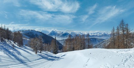 Téléchargez les photos : Bois d'hiver près du massif de Dachstein et piste de ski (Autriche). Panorama
. - en image libre de droit