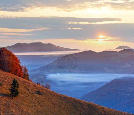 Photo for Morning fog in autumn Carpathian. Mountain top daybreak landscape. - Royalty Free Image