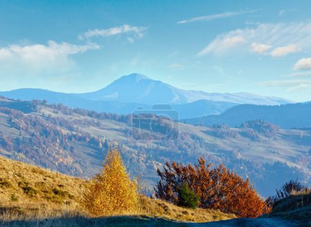 Téléchargez les photos : Paysage de montagne brumeux d'automne et bouleau jaune sur la pente en face
. - en image libre de droit