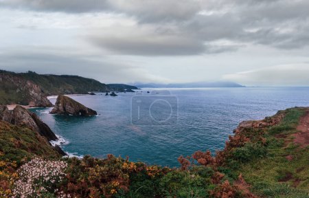 Photo for Evening Costa de Loiba landscape with blossoming bushes and rock formations near shore (Galicia, Spain). Two shots stitch panorama. - Royalty Free Image