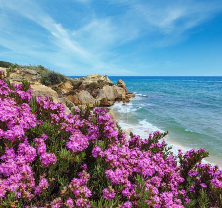Foto de Verano floreciente Vista de la costa rocosa atlántica con flores moradas (Algarve, Portugal
). - Imagen libre de derechos