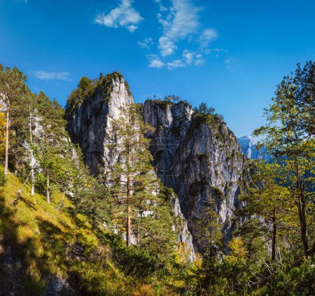 Téléchargez les photos : Ensoleillé idyllique coloré automne scène alpine. Vue paisible sur les montagnes rocheuses depuis le sentier de randonnée près du lac Almsee, Haute-Autriche. - en image libre de droit