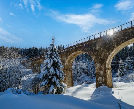 Téléchargez les photos : Viaduc en pierre (pont en arc) sur chemin de fer à travers la forêt de sapins neigeux de montagne. Dérives de neige sur le bord de la route et givre sur les arbres et les fils électriques. - en image libre de droit
