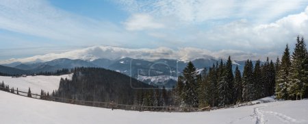 Photo for Winter remote alpine mountain village outskirts, countryside hills, groves and farmlands. - Royalty Free Image