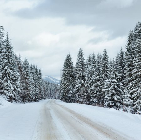 Téléchargez les photos : Route de campagne hivernale avec forêt de sapins sur le côté (journée couverte)
). - en image libre de droit
