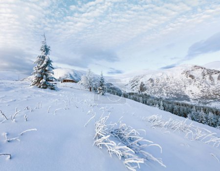 Téléchargez les photos : Matin hiver paysage de montagne avec des arbres couverts de neige et maison sur la pente - en image libre de droit