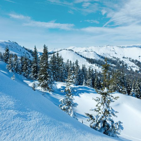 Foto de Paisaje montañoso invernal con abetos nevados en la ladera (región de Hochkoenig, Austria
) - Imagen libre de derechos