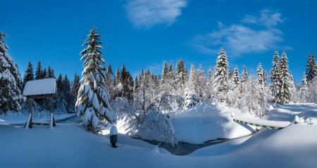 Téléchargez les photos : Montagne alpine forêt enneigée de sapins d'hiver avec des dérives de neige et petit ruisseau gelé - en image libre de droit