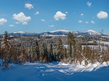 Foto de Invierno remoto pueblo alpino a las afueras, colinas, arboledas y tierras de cultivo vista desde la ladera de la montaña - Imagen libre de derechos