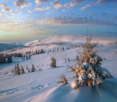 Téléchargez les photos : Station alpine pistes de ski et remontées mécaniques. Avant le lever du soleil matin Svydovets crête de montagne et vue sur les sapins enneigés, Dragobrat, Ukraine Carpates. - en image libre de droit
