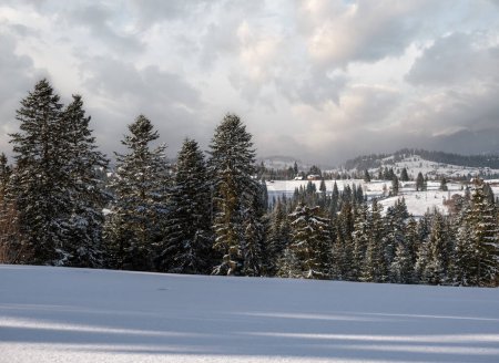 Foto de Invierno remoto pueblo alpino de montaña afueras, colinas rurales, arboledas y tierras de cultivo. - Imagen libre de derechos