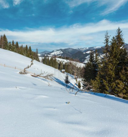 Téléchargez les photos : Matin d'hiver pittoresque sommet de montagne avec ferme enneigée et quelques arbres brise-vent flétris (Ukraine, Carpates, tranquillité paisible village de Dzembronya périphérie rurale
) - en image libre de droit