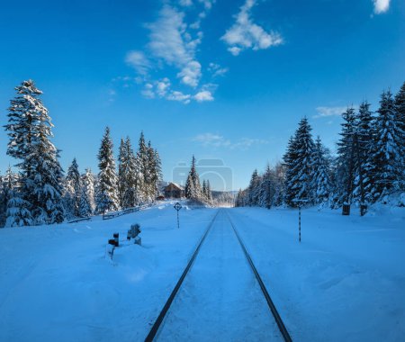 Foto de Ferrocarril a través de bosques de abeto nevado y casco alpino remoto en las montañas de los Cárpatos, nieve deriva en el camino - Imagen libre de derechos