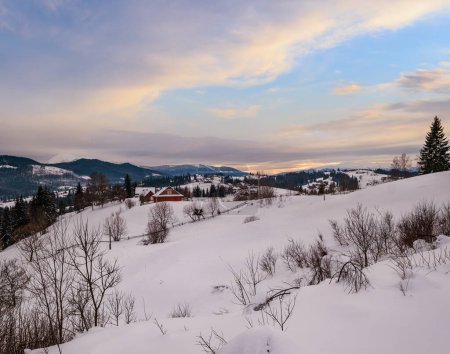 Photo for Small alpine village and winter snowy mountains in last sunset sunlight around, Voronenko, Carpathian, Ukraine. - Royalty Free Image