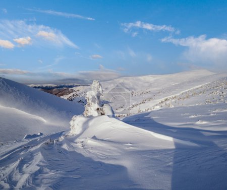 Foto de Los abetos cubiertos de nieve en la meseta montañosa nevada, las cimas con cornisas de nieve en gran medida. Magnífico día soleado en la pintoresca cresta de hermosos alpes. - Imagen libre de derechos