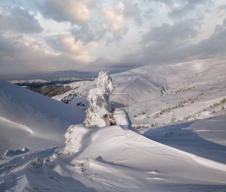 Téléchargez les photos : Sapins enneigés sur le plateau enneigé des montagnes, sommets avec des corniches de neige dans loin. Magnifique journée ensoleillée sur la crête pittoresque des belles Alpes. - en image libre de droit