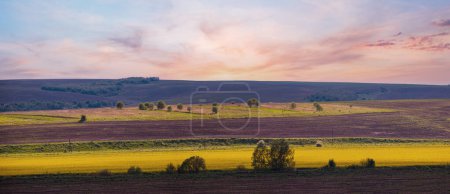 Photo for Spring countryside view with rapeseed yellow blooming fields, groves, hills. Ukraine, Lviv Region. - Royalty Free Image