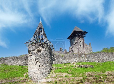 Téléchargez les photos : Vue estivale des ruines du château Nevytsky (village de Kamyanitsa, près d'Uzhhorod, oblast de Zakarpattia, Ukraine). Construit au 13ème siècle. - en image libre de droit