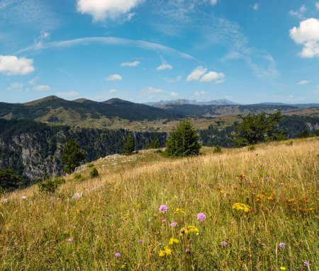 Foto de Pintoresco paisaje montañoso de verano del cañón de Tara en el Parque Nacional de la montaña Durmitor, Montenegro, Europa, Balcanes Alpes Dináricos, Patrimonio de la Humanidad por la UNESCO
. - Imagen libre de derechos