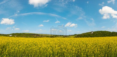 Photo for Spring rapeseed yellow blooming fields view, blue sky with clouds in sunlight panorama. Pyatnychany tower (defense structure, 15th century) on far hill slope. - Royalty Free Image