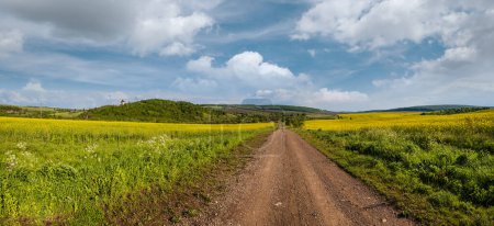 Photo for Spring countryside view with dirty road, rapeseed yellow blooming fields, village, hills. Ukraine, Lviv Region. - Royalty Free Image