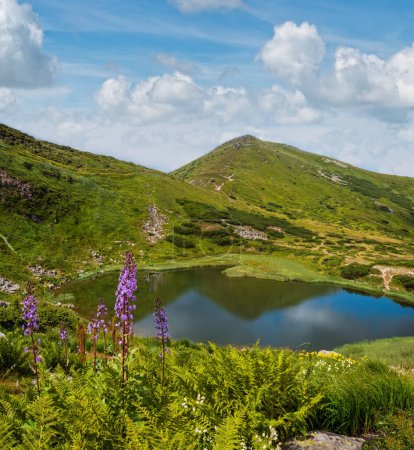 Photo for Summer Nesamovyte lake landscape, Chornohora ridge, Carpathian mountains, Ukraine. - Royalty Free Image