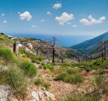 Foto de Verano Llogara pasar vista con carretera, árboles secos en la pendiente y la superficie del agua de mar (Albania
). - Imagen libre de derechos