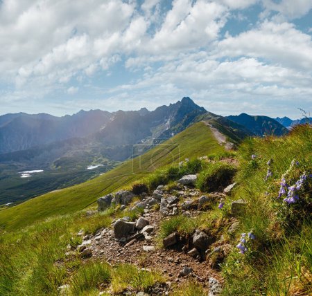 Téléchargez les photos : Mont Tatra, Pologne, vue sur la vallée de Gasienicowa, groupe de lacs glaciaires et le mont Swinica - en image libre de droit
