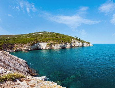 Photo for Summer rocky sea coast Baia Di Campi Vieste on the Gargano peninsula, Puglia, Italy - Royalty Free Image