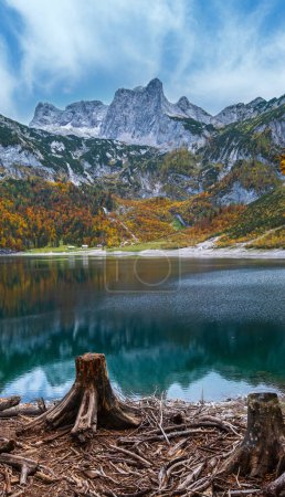 Foto de Tocones de árboles después de la deforestación cerca del lago Hinterer Gosausee, Alta Austria. Otoño vista alpina del lago de montaña con agua transparente y reflejos claros. Cumbre de Dachstein y glaciar en gran medida. - Imagen libre de derechos