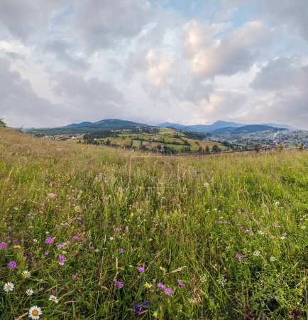 Foto de Pintorescas praderas de montaña de los Cárpatos de verano. Abundancia de vegetación y hermosas flores silvestres. - Imagen libre de derechos