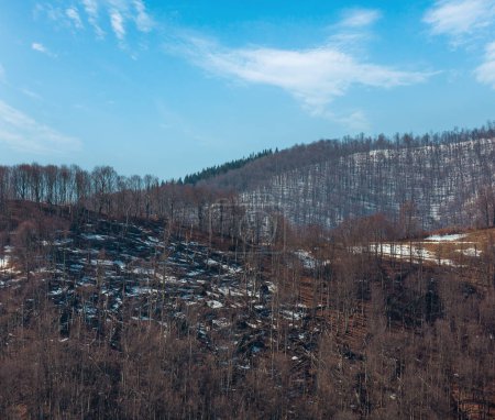 Téléchargez les photos : Début du printemps Paysage de plateau montagneux des Carpates avec neige sur pente, Ukraine
. - en image libre de droit