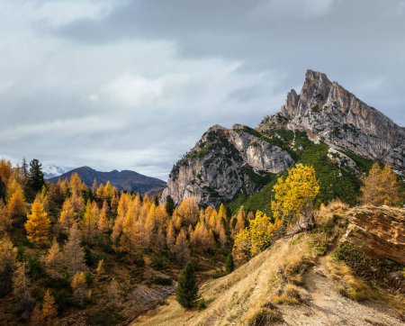 Téléchargez les photos : Dolomites alpines d'automne colorées scène de montagne rocheuse, Sudtirol, Italie. Vue paisible depuis Falzarego Pass. Voyage pittoresque, saisonnier, nature et campagne concept beauté scène
. - en image libre de droit