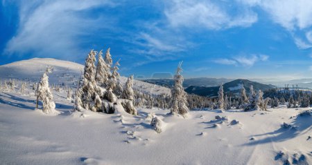 Photo for Sunrise mountain skiing freeride slopes and fir tree groves near alpine resort panorama. - Royalty Free Image