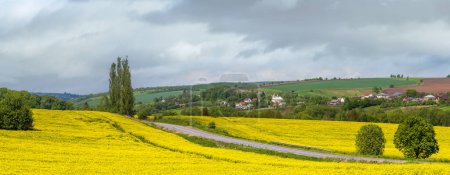 Photo for Road through spring rapeseed yellow blooming fields panoramic view, blue sky with clouds in sunlight. Natural seasonal, good weather, climate, eco, farming, countryside beauty concept. - Royalty Free Image
