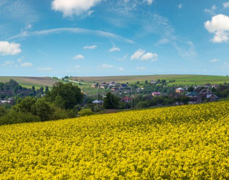 Route à travers les champs de colza jaune printemps en fleurs vue, ciel avec des nuages en plein soleil. Naturel saisonnier, beau temps, climat, éco, agriculture, campagne concept beauté.