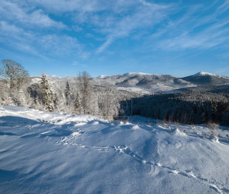 Photo for Winter picturesque Gorgany massiv mountains scenery view from Yablunytsia pass, Carpathians, Ukraine. - Royalty Free Image