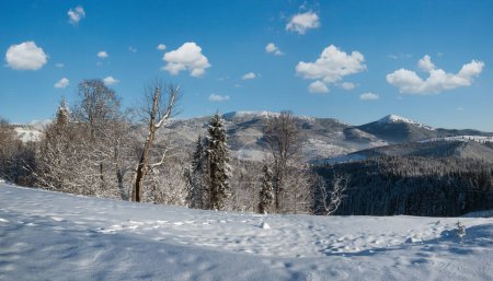 Photo for Winter picturesque Gorgany massiv mountains scenery view from Yablunytsia pass, Carpathians, Ukraine. - Royalty Free Image