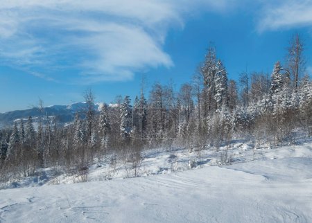 Téléchargez les photos : Hiver pittoresque Svydovets massif vue sur les montagnes du col de Yablunytsia, Carpates, Ukraine. - en image libre de droit