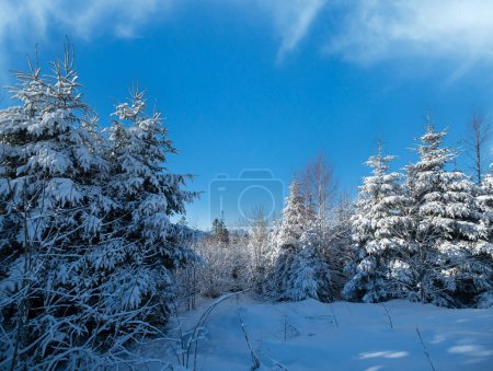 Photo for Winter picturesque  mountains scenery view from Yablunytsia pass, Carpathians, Ukraine. - Royalty Free Image