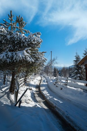 Téléchargez les photos : Paysage de montagne pittoresque d'hiver vue du col de Yablunytsia, Carpates, Ukraine. - en image libre de droit