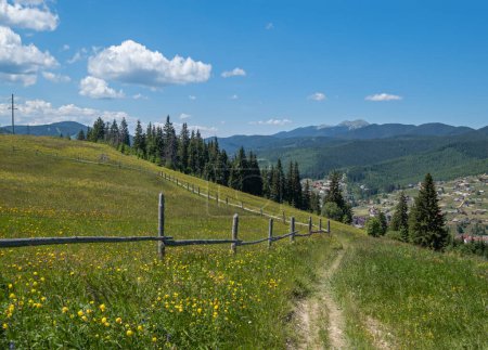 Photo for Summer picturesque Gorgany massiv mountains scenery view from Sevenei hill (near Yablunytsia pass, Carpathians, Ukraine.) - Royalty Free Image