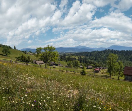 Photo for Summer picturesque Chornohora massiv mountains scenery view from Sevenei hill (near Yablunytsia pass, Carpathians, Ukraine.) - Royalty Free Image