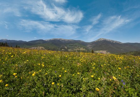 Foto de Verano pintoresco Gorgany macizo montañas paisaje vista desde la colina Sevenei (cerca del paso Yablunytsia, Cárpatos, Ucrania.) - Imagen libre de derechos